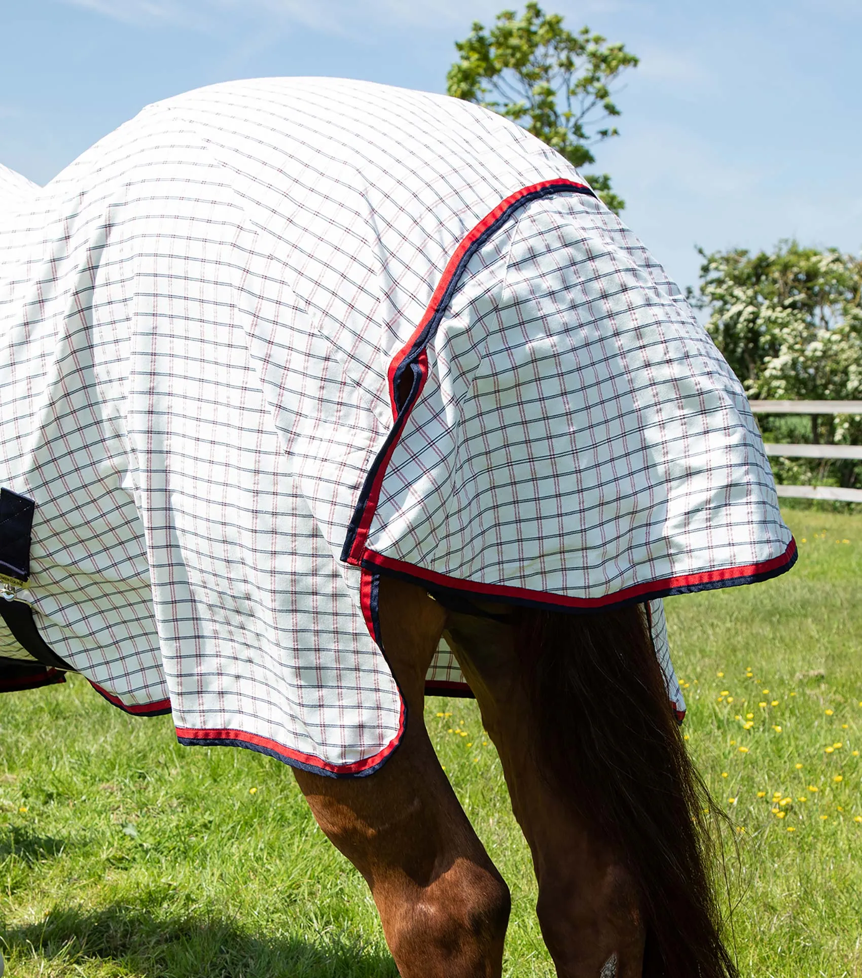 Combo Cotton Sheet Red Check