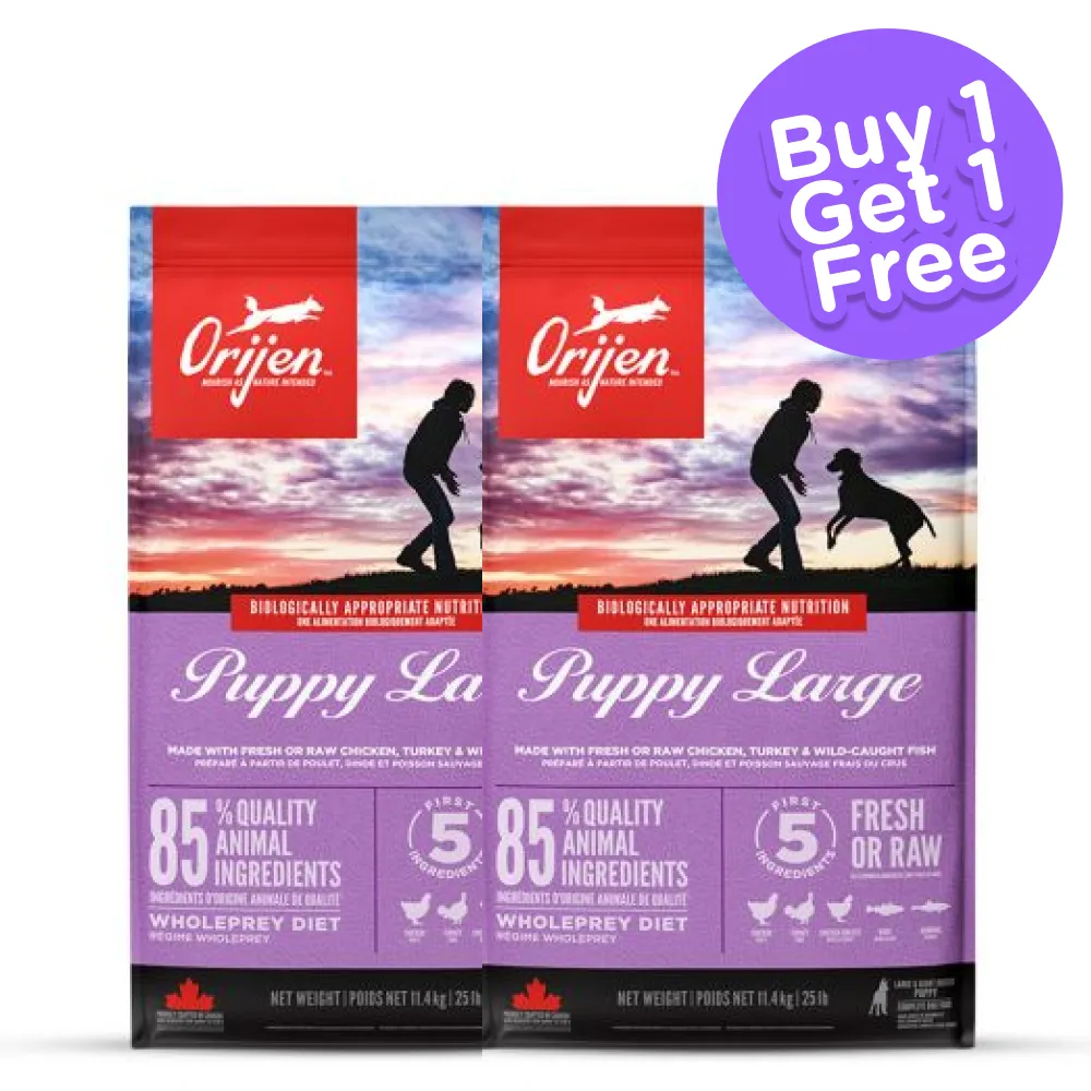 Orijen Large Puppy Dry Food (Buy 1 Get 1) (Limited Shelf Life)