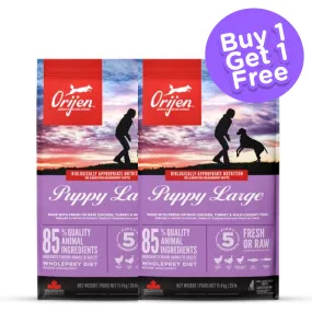 Orijen Large Puppy Dry Food (Buy 1 Get 1) (Limited Shelf Life)