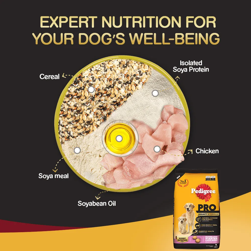 Pedigree PRO Expert Nutrition Lactating/Pregnant Mother & Puppy Starter(3 to 12 Weeks) Large Breed Dog Dry Food (Limited Shelf Life) (Buy 1 Get 1)