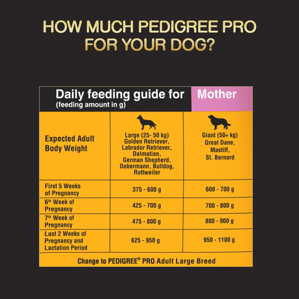 Pedigree PRO Expert Nutrition Lactating/Pregnant Mother & Puppy Starter(3 to 12 Weeks) Large Breed Dog Dry Food (Limited Shelf Life) (Buy 1 Get 1)