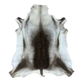 Reindeer Hide