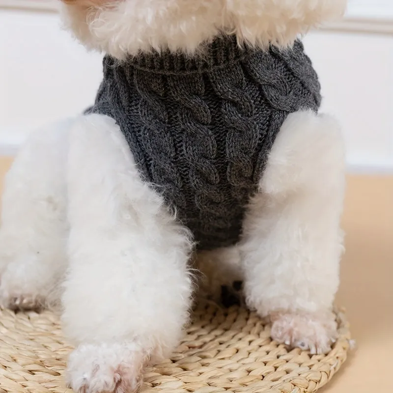 Stylish Striped Knitwear for Tea Cup Size Dogs