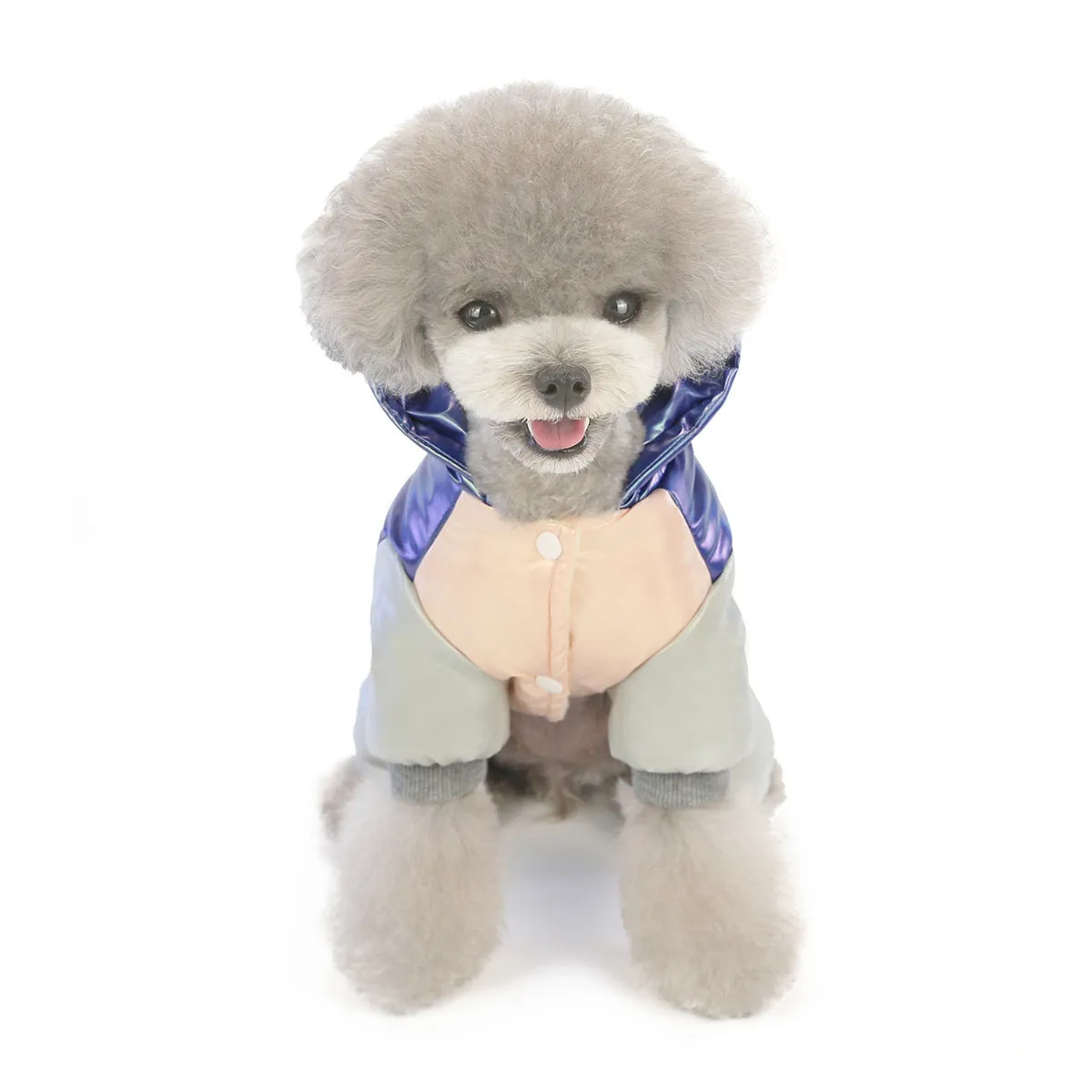 Warm dog clothes rainbow cotton coat pet clothes