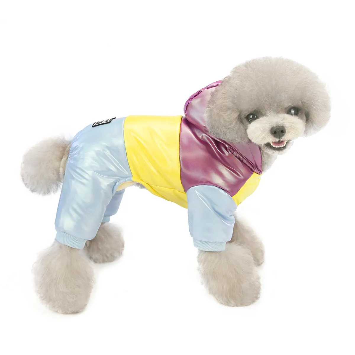 Warm dog clothes rainbow cotton coat pet clothes