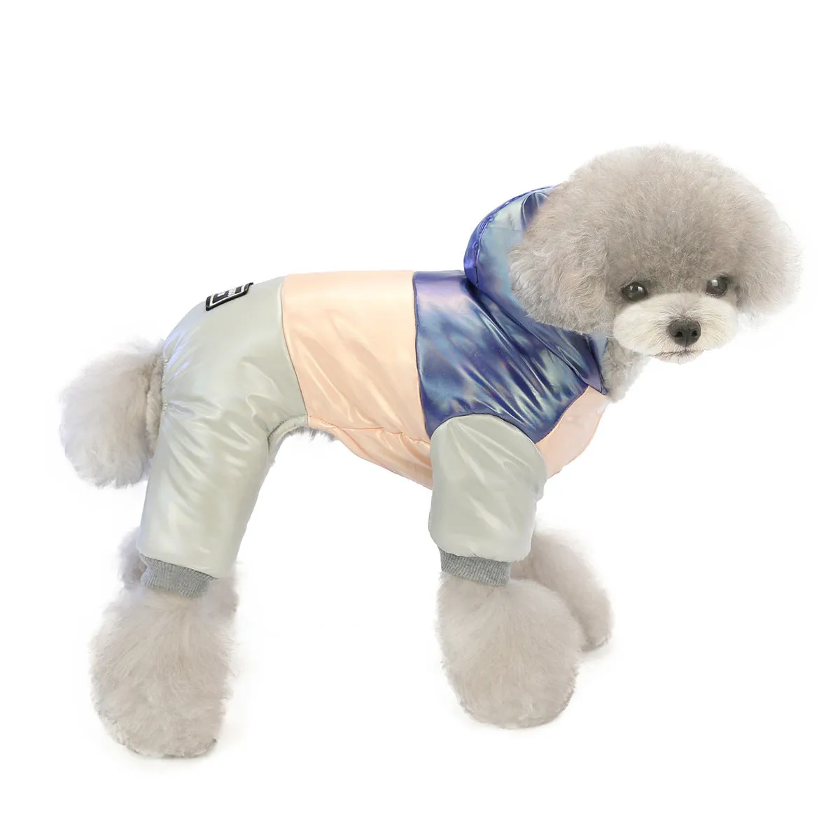 Warm dog clothes rainbow cotton coat pet clothes