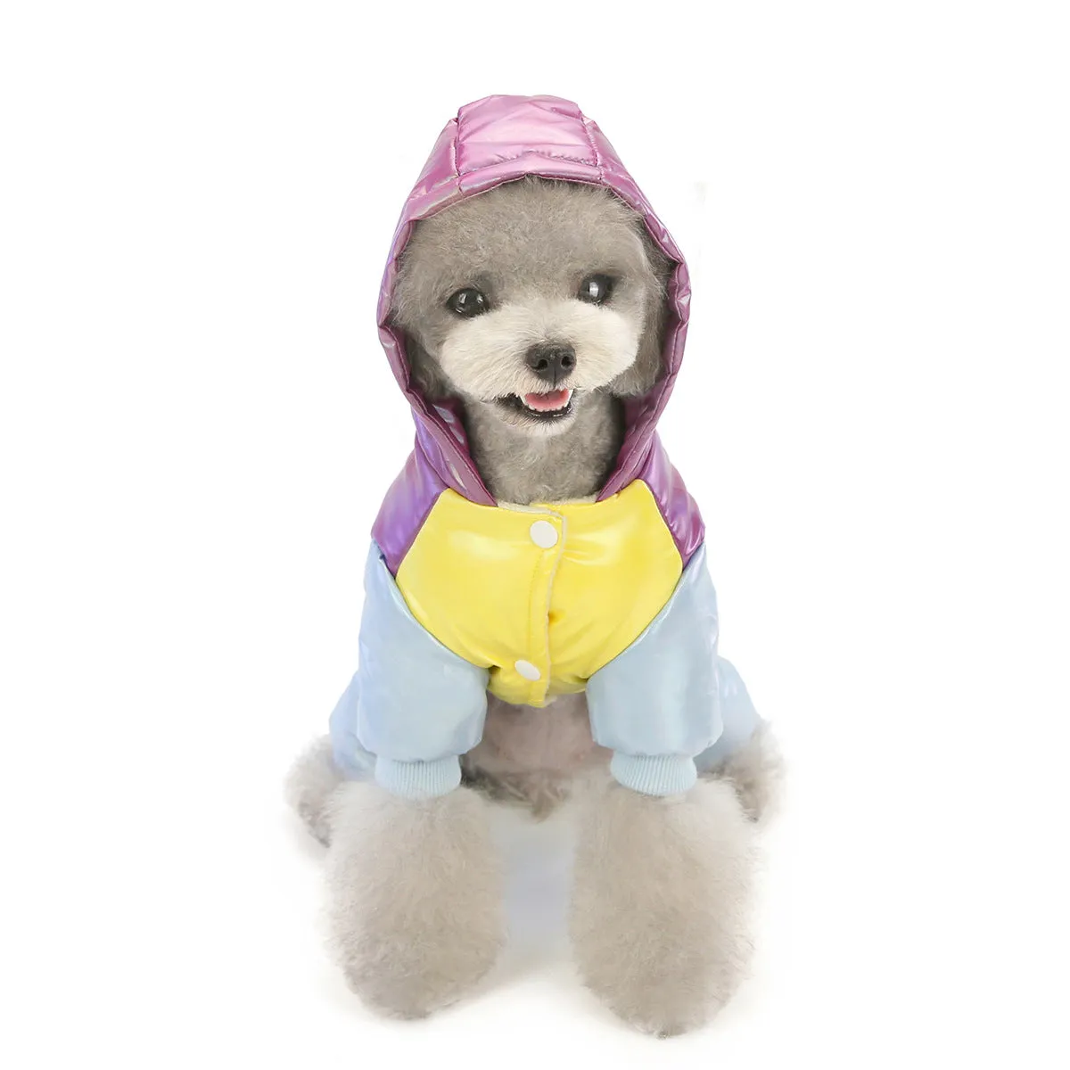 Warm dog clothes rainbow cotton coat pet clothes