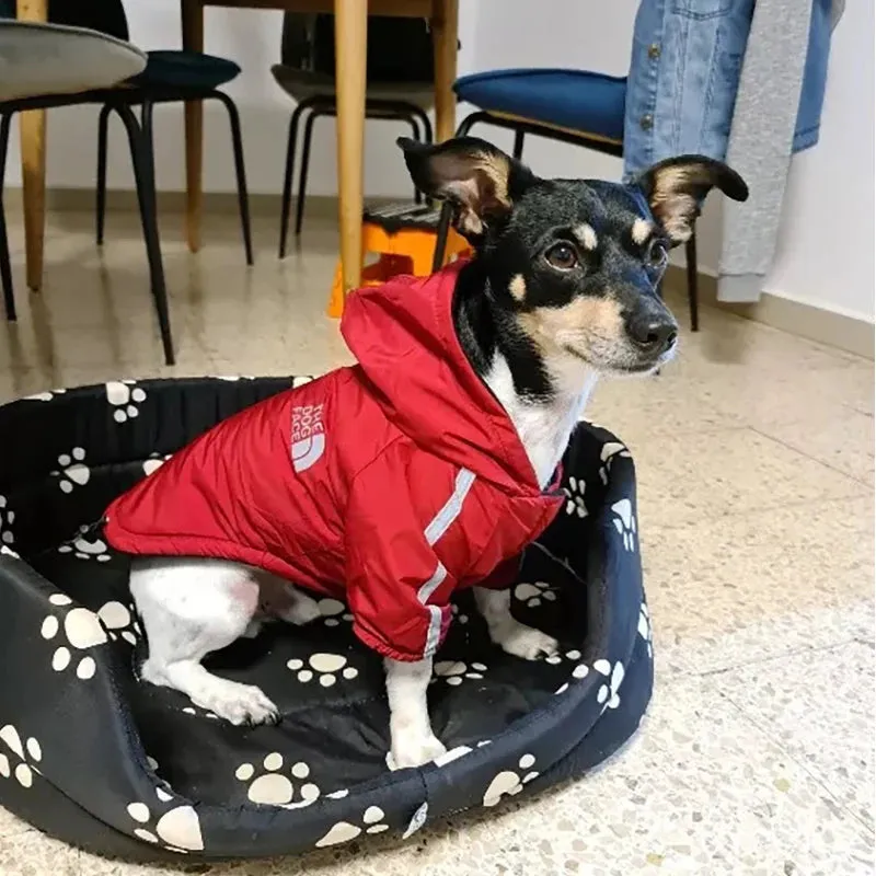 Waterproof Pet Clothes Reflective Raincoat